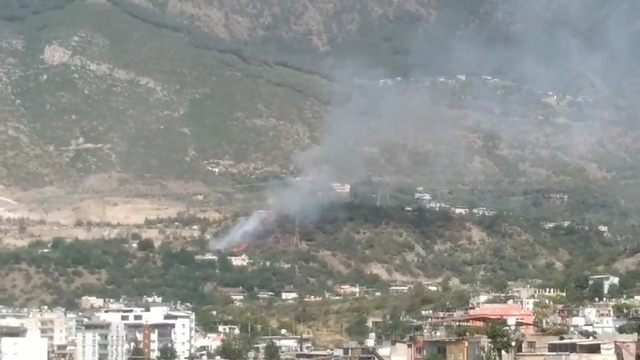 Hatay'da orman yangını