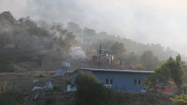 Hatay'da zeytinlik alanda çıkan yangın kontrol altına alındı