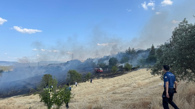 Bilecik'te buğday tarlasında çıkan yangın söndürüldü