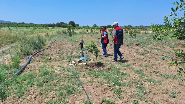 Çanakkale'de tarımsal sulama elektrik aboneliği bulunan tarımsal araziler denetleniyor