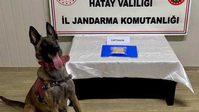 Hatay'da uyuşturucu ve kaçakçılık operasyonlarında 23 şüpheli yakalandı