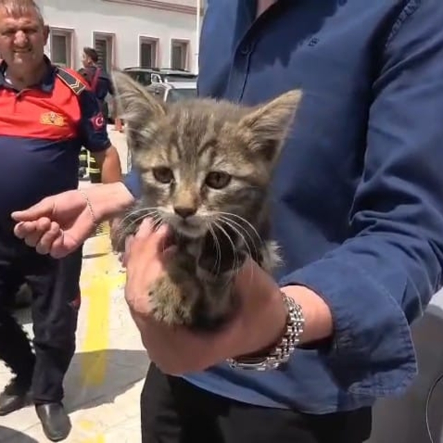 Otomobilin motoruna sıkışan yavru kedi kurtarıldı