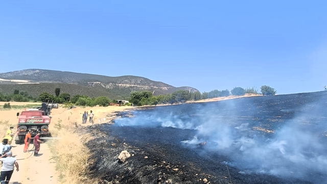 Bilecik'te tarım arazisinde çıkan yangın söndürüldü