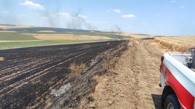 Tekirdağ'da tarlada çıkan yangında 70 dönüm buğday ekili alan yandı