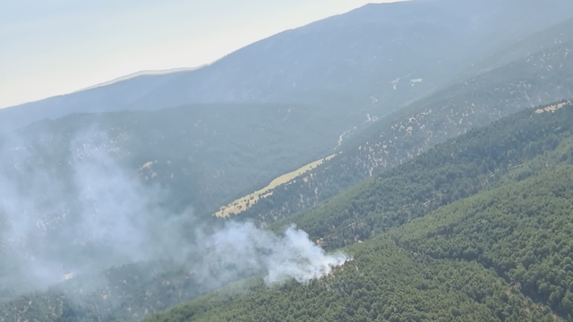 Denizli'nin Çivril ilçesinde orman yangını çıktı