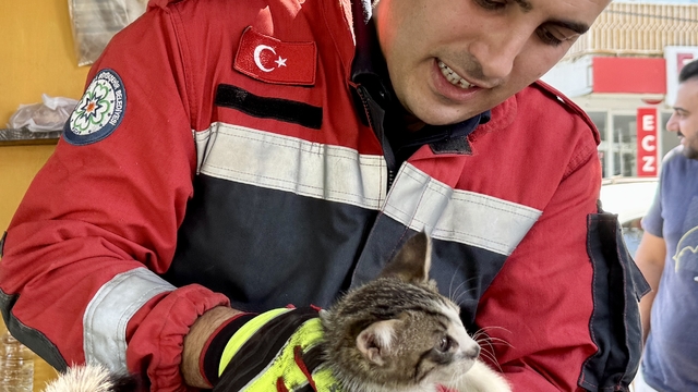 Muğla'da otomobilin motor kısmında mahsur kalan kedi yavrusu kurtarıldı