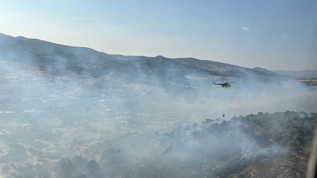 İzmir'de makilik ve çamlık alanda çıkan yangına müdahale ediliyor