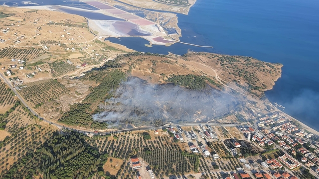 İzmir'de maki yangını