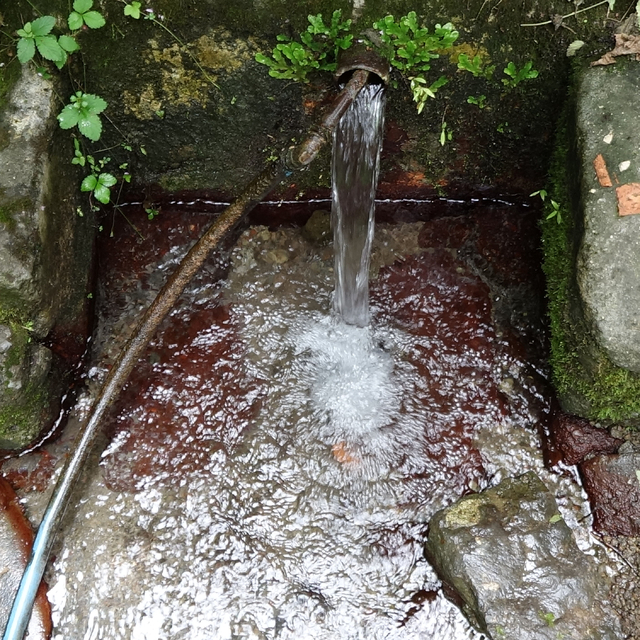 Acı tat bırakan 'şifalı su' için tüketim uyarısı