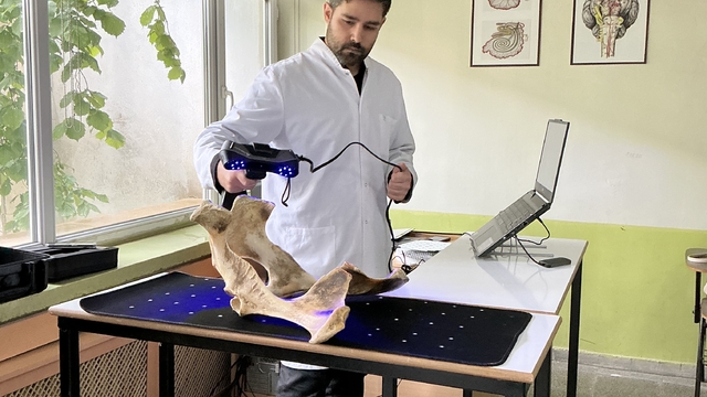 Hayvan kemiklerinden yapılan iskeletler yapay zekayla dijitale aktarılıyor