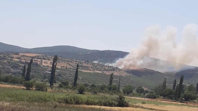 Balıkesir'in Kepsut ilçesinde çıkan orman yangınına müdahale ediliyor