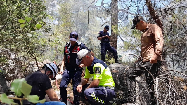 Antalya'da orman yangını (2)