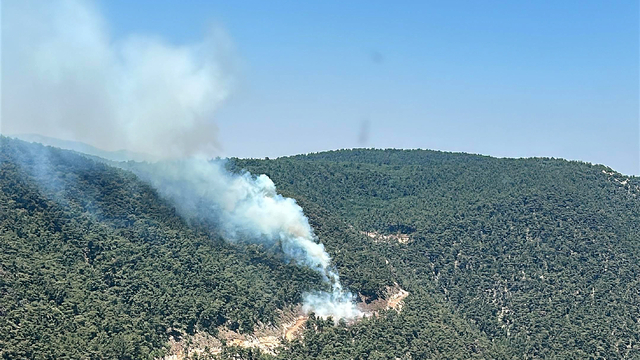 Manisa'da çıkan orman yangınına müdahale ediliyor