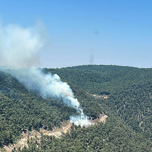 Manisa'da çıkan orman yangınına müdahale ediliyor