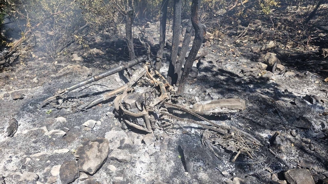 Antalya'da orman yangını (3)