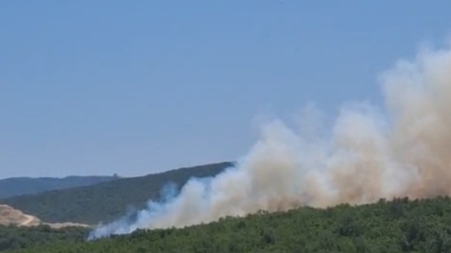 Bursa'da orman yangını; helikopterle müdahale ediyor