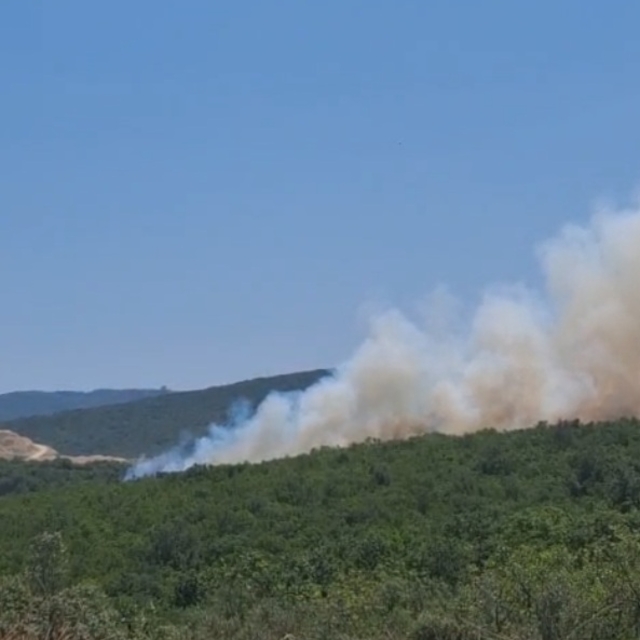 Bursa'da orman yangını; helikopterle müdahale ediyor