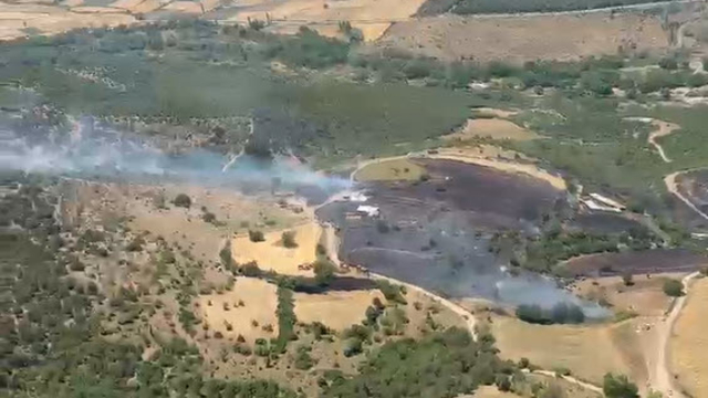 Balıkesir'de orman yangını