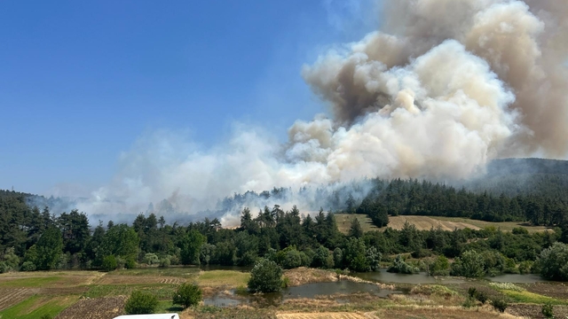Bursa'nın Orhaneli ilçesinde anızda başlayıp ormana sıçrayan yangına müdahale ediliyor