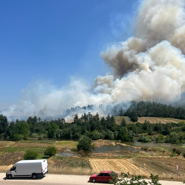 Bursa'nın Orhaneli ilçesinde anızda başlayıp ormana sıçrayan yangına müdaha...