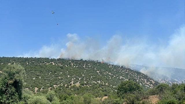 Balıkesir'de arazide çıkan yangına müdahale ediliyor