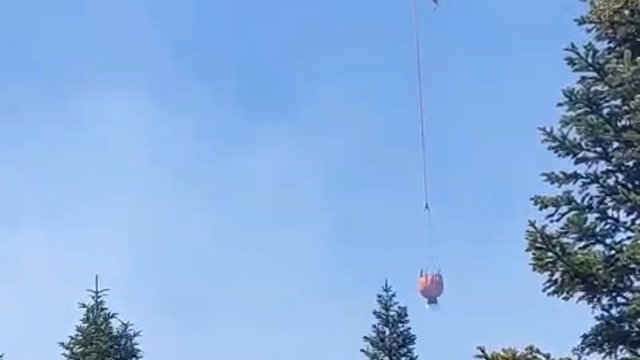 Mersin'de orman yangını (2)