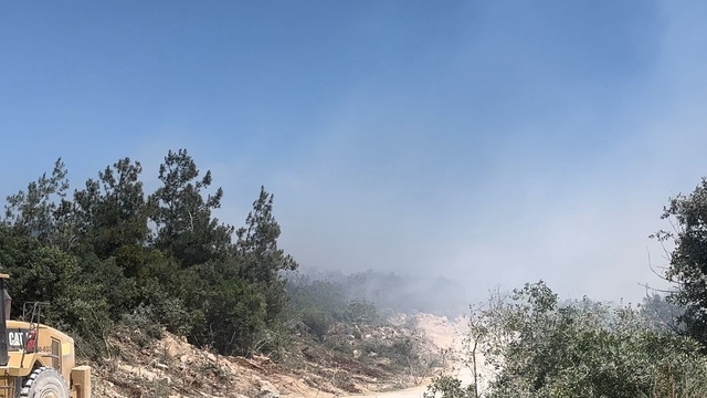 Bursa'da orman yangını (2)