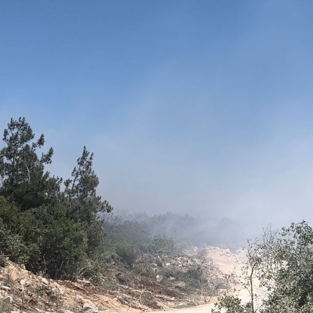 Bursa'da orman yangını (2)