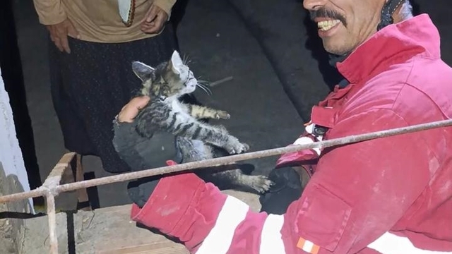 Hatay'da havalandırma boşluğuna düşen kediyi itfaiye kurtardı
