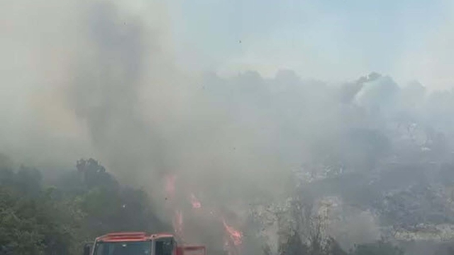 Balıkesir'de orman yangını (2)