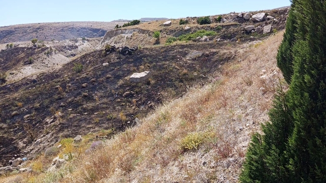 Ağın'da otluk alanda çıkan yangın söndürüldü