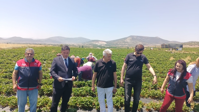 Coğrafi işaretli Hüyük çileği için çalıştay gerçekleştirildi