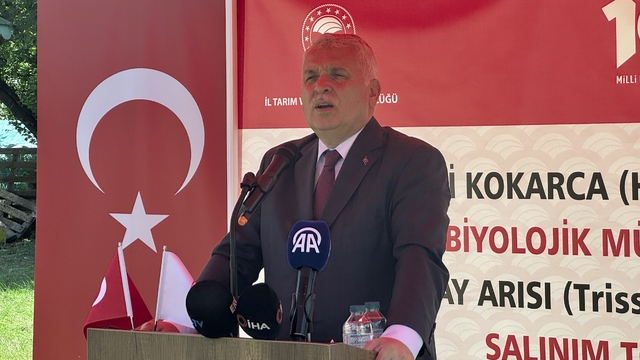 Trabzon'da kahverengi kokarcayla mücadele edecek samuray arıları doğaya salındı