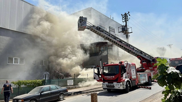Kocaeli'de marketin deposunda çıkan yangın söndürüldü