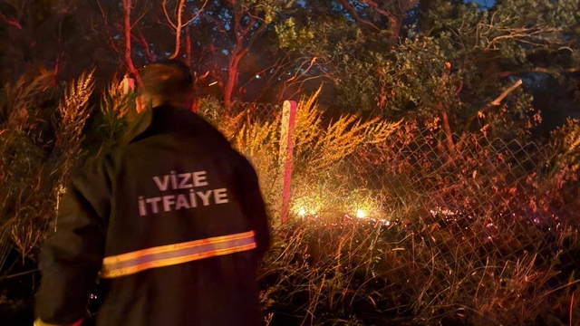 Vize'de otluk alanda çıkan yangın söndürüldü