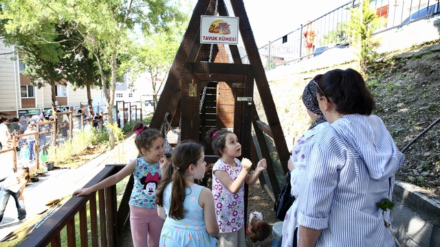 Giresun'da anaokulunda "Orman Okulu Projesi" uygulandı