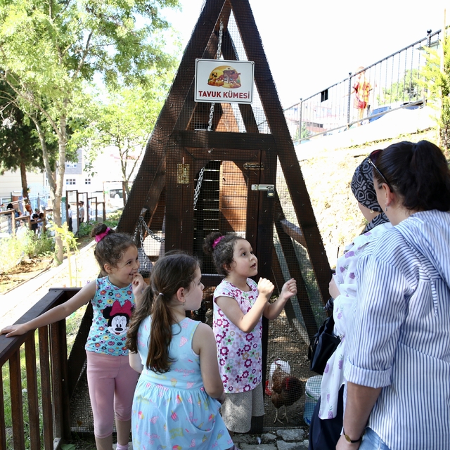 Giresun'da anaokulunda "Orman Okulu Projesi" uygulandı