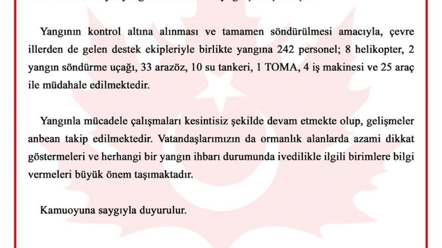 Bursa'da orman yangını (6)