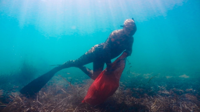 Bodrum'da deniz dibi temizliği yapıldı