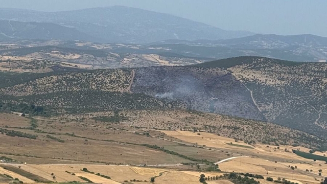 Balıkesir'de orman yangını (3)