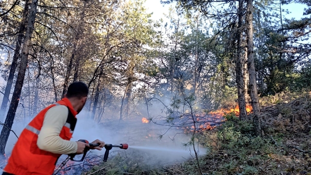 Mudurnu'daki orman yangını 1 saatte söndürüldü