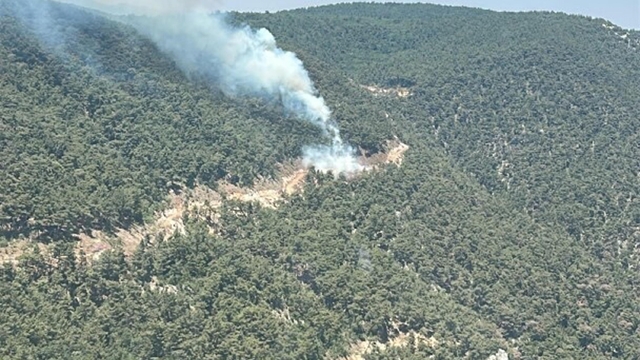 Manisa'daki orman yangını 4 saatte söndürüldü