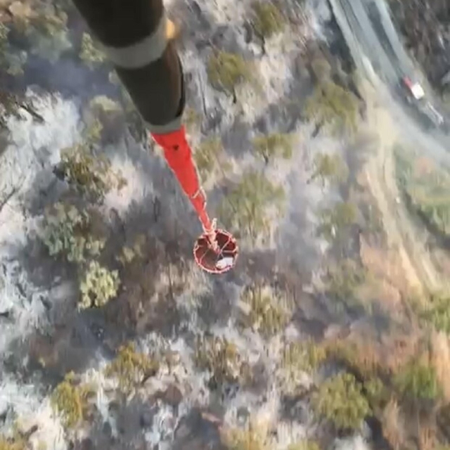 Aydın'da çıkan orman yangınında 2 hektarlık alan zarar gördü