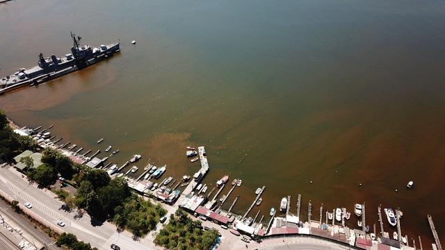 İzmit Körfezi'nde denizin rengi kahverengiye döndü