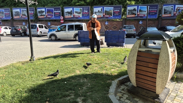 Temizlik işçisi, 15 yıldır çöpten topladığı ekmek artıklarıyla kuşları besliyor