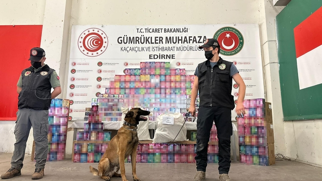 Kapıkule'de 29,5 kilo esrar ele geçirildi