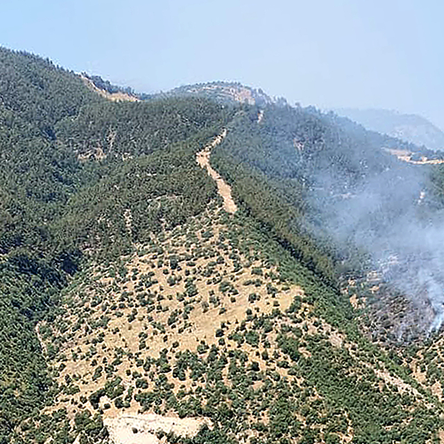 Manisa'nın Alaşehir ilçesinde ormanlık alanda yangın çıktı