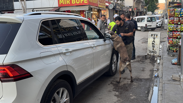 Diyarbakır'da uyuşturucu satıcılarına yönelik "Narko Hançer" uygulaması yapıldı