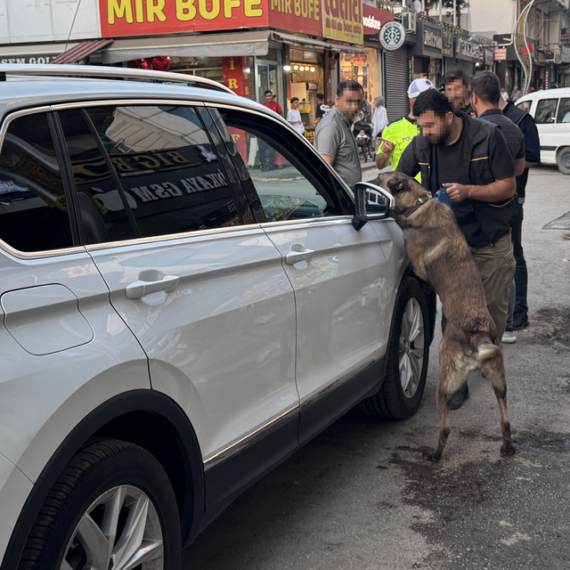 Diyarbakır'da uyuşturucu satıcılarına yönelik "Narko Hançer" uygulaması yap...
