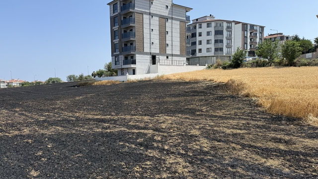 Tekirdağ'da 30 dekar buğday ekili alan yandı